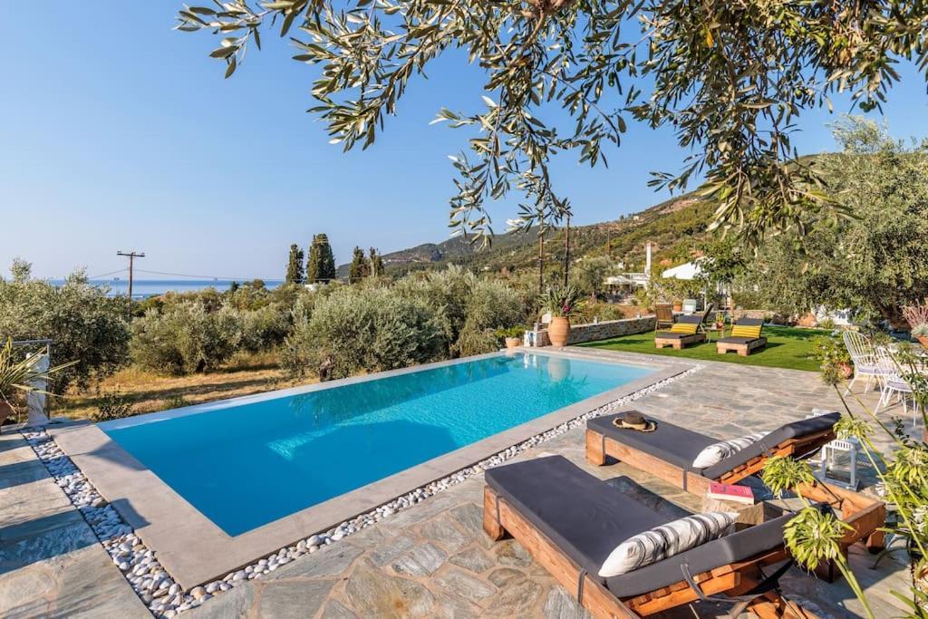 Skopelos Blue Heaven Pool Villa In Olive Grove Kültér fotó
