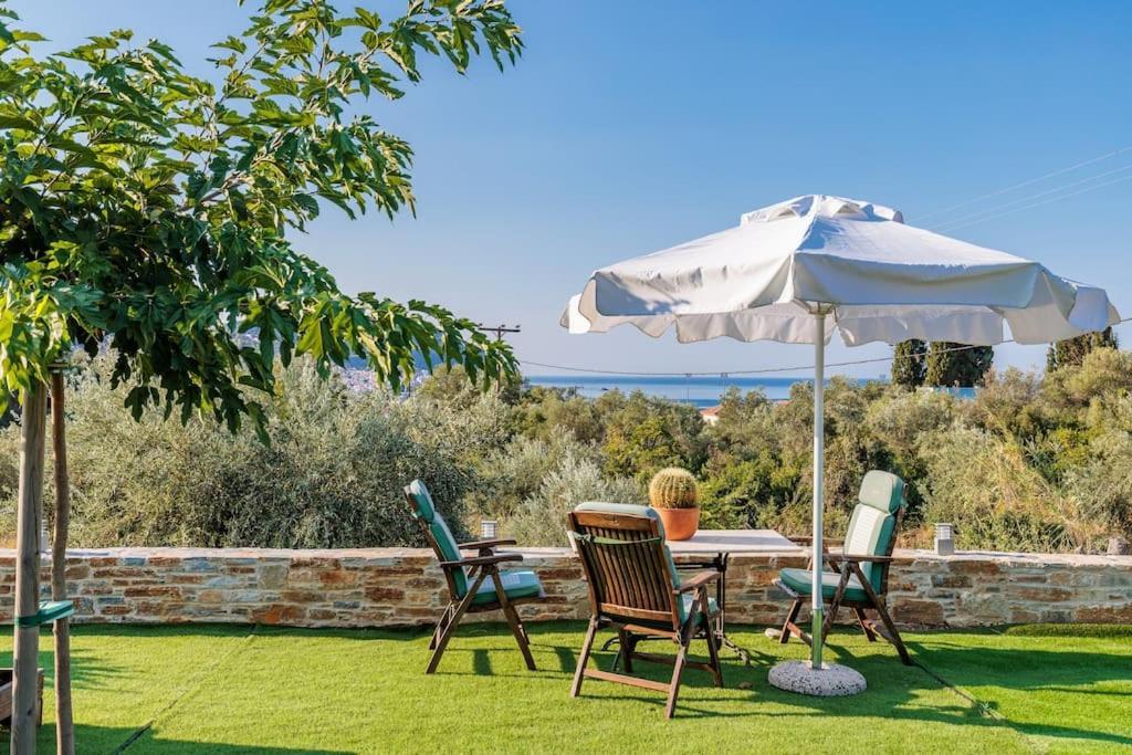 Skopelos Blue Heaven Pool Villa In Olive Grove Kültér fotó