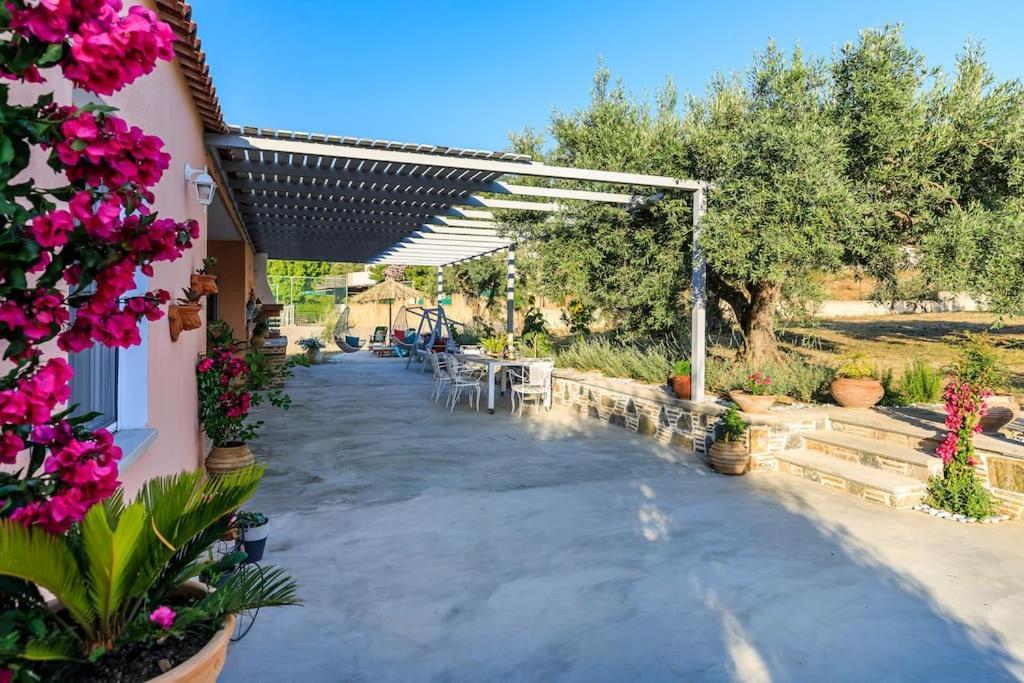Skopelos Blue Heaven Pool Villa In Olive Grove Kültér fotó